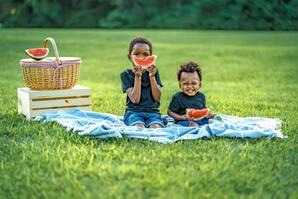 Lesepicknick