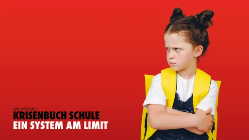 Krisenbuch Schule